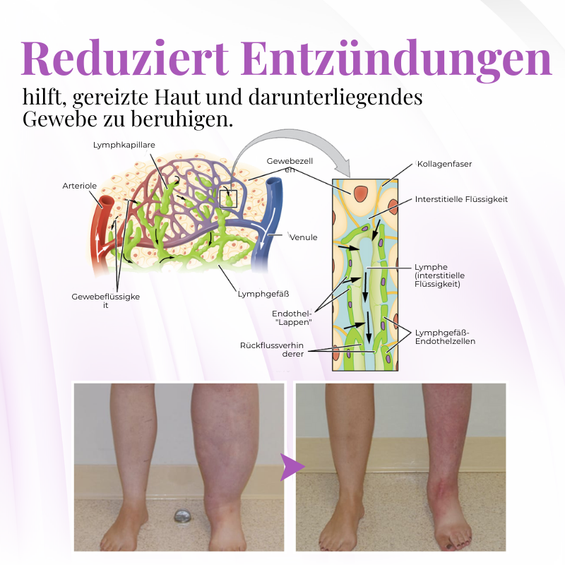 Biancat® VascuSoothe Beinpflege Phyto Crème upsell YQ