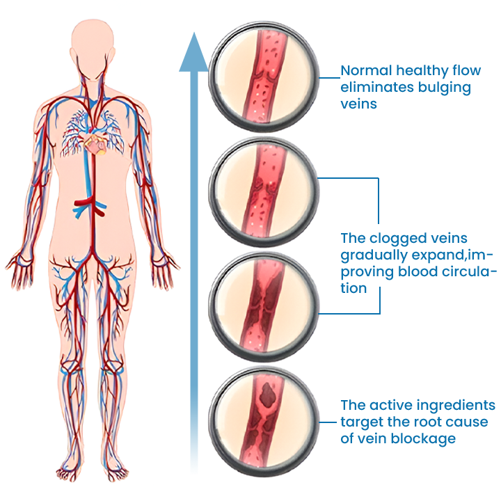 Timilk® VeinFlow Microneedle Repair Patch