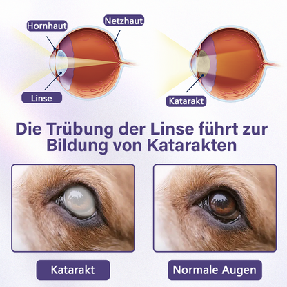 Timilk® NanoCare Augentropfen für Haustiere  👩‍⚕️ FDA-Zulassung | Lindert Bindehautentzündung, trockene Augen, Katarakte und Keratitis 🐶🐱