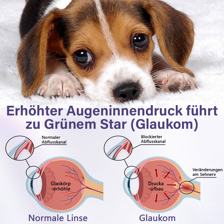 Timilk® NanoCare Augentropfen für Haustiere  👩‍⚕️ FDA-Zulassung | Lindert Bindehautentzündung, trockene Augen, Katarakte und Keratitis 🐶🐱